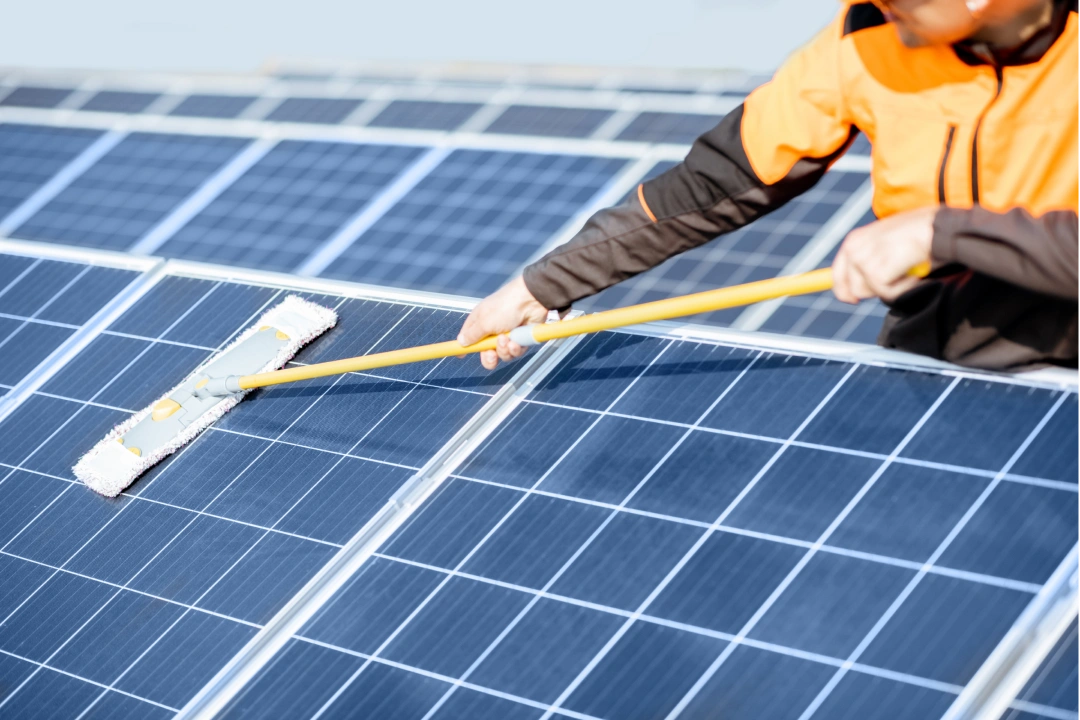 Solar Panel Cleaning Services
